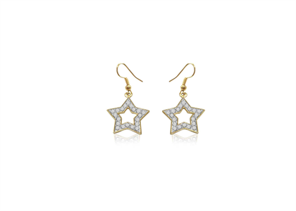 Gold Plated | Fashion Earrings